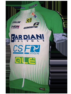 3.͵-CSFӣBardiani-CSF.jpg